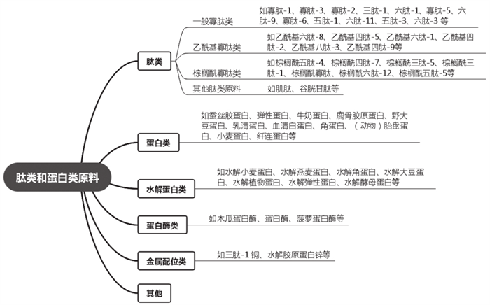 化妝品,化妝品肽類,蛋白類,原料,抗氧化,新陳代謝