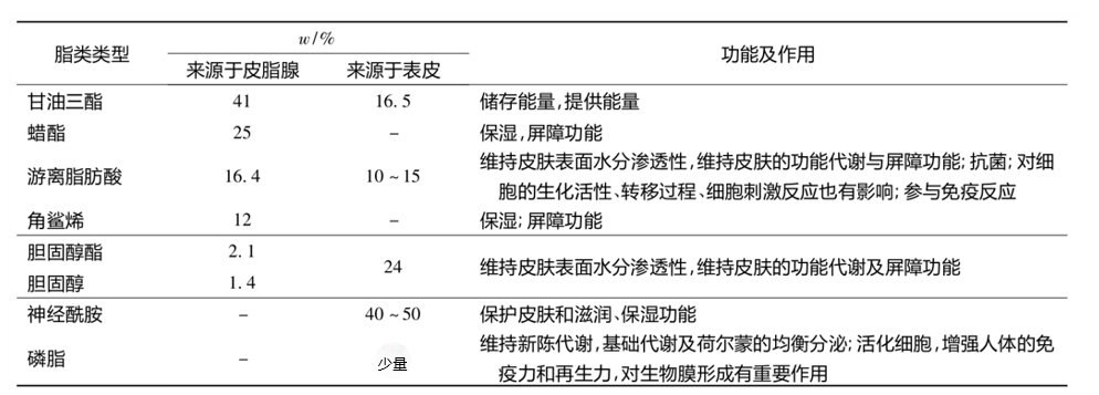 功效評(píng)價(jià),新指標(biāo),皮膚表面,脂質(zhì)分析