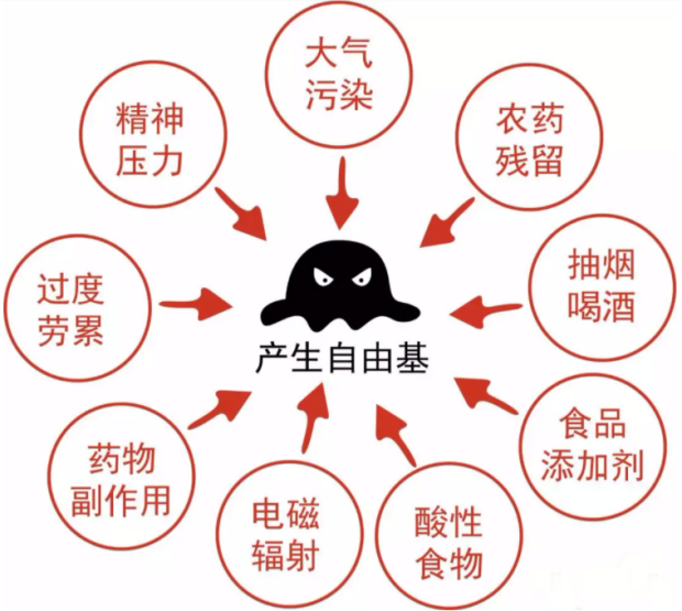 化妝品,抗氧化,抗衰,氧化還原反應(yīng),皮膚,ROS